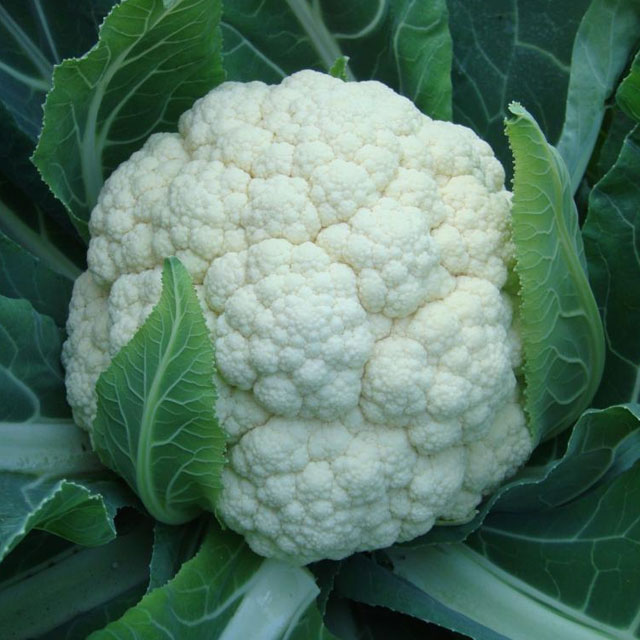 企业食堂如何选择一家靠谱的食材配送公司