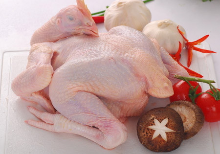 东莞市卫生健康局关于活禽经营市场每月休市时间的通告