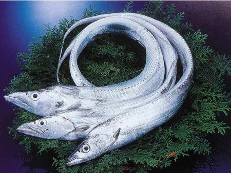 东莞蔬菜配送中考食品卫生安全