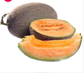 东莞蔬菜配送市场防控虫媒传染