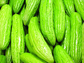 东莞蔬菜配送预防登革热