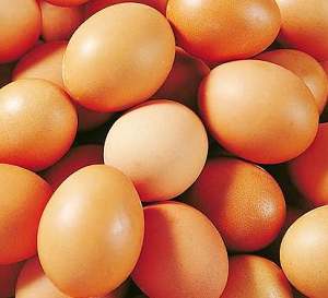 深圳蔬菜配送公司告诉你含铁多的食品