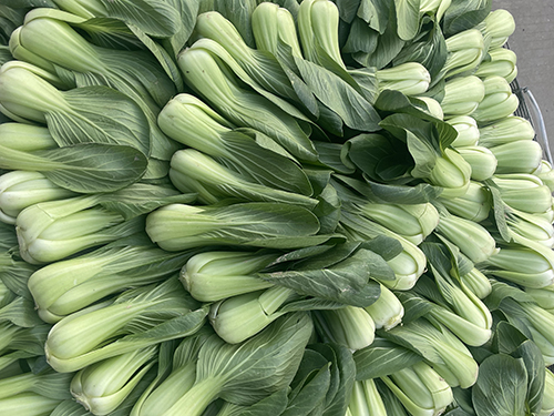 东莞蔬菜配送如何保证质量