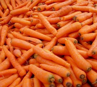 东莞蔬菜配送公司－养生好蔬菜