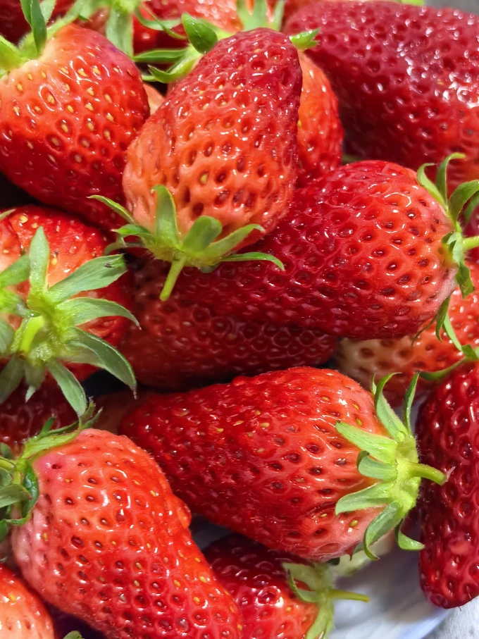 东莞蔬菜配送公司－一日三餐健康饮食