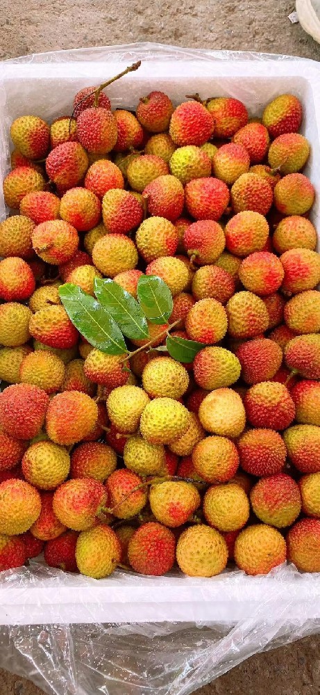 东莞蔬菜配送标准分析