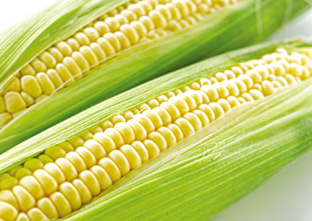 东莞蔬菜配送公司如何应对蔬菜季节性的波动